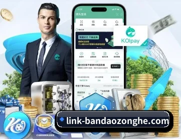 半岛综合 APP 深度功能
